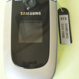 SAMSUNG SGH-X660