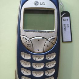 LG B1300